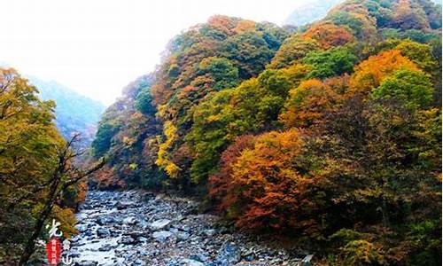 光雾山风景区旅游攻略_光雾山风景区旅游攻略 自驾